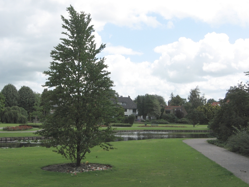 Bussum, Bilderdijkpark, met Veteranenboom