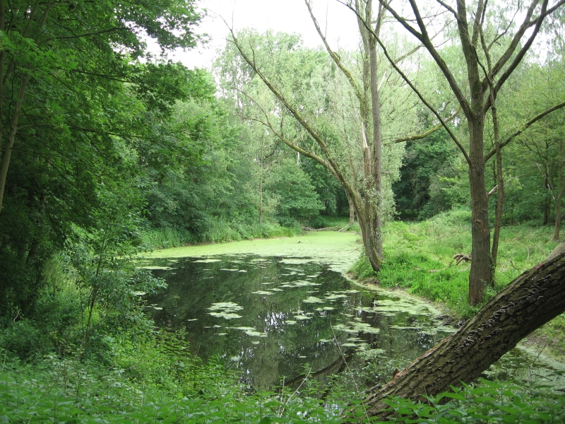 Anna's Hoeve, Hilversum