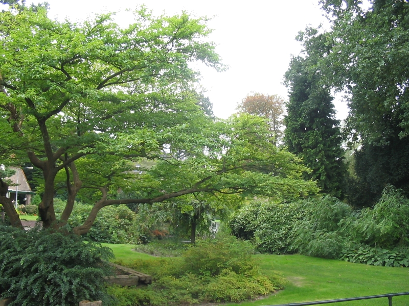 Hilversum, Park en vijver Laan van Vogelenzang