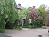 Hilversum, Goudwespmeent