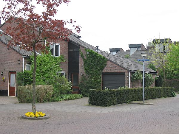 Hilversum, Goudwespmeent