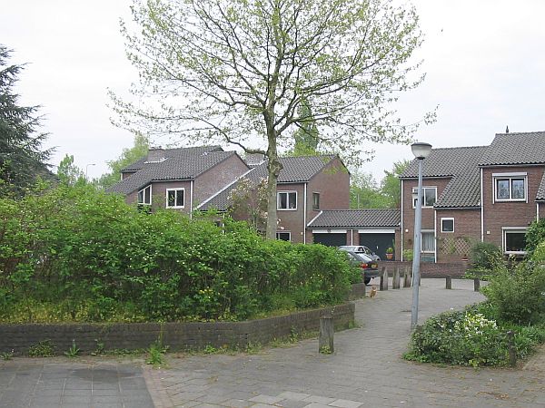 Hilversum, Goudwespmeent