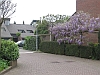 Hilversum, Goudwespmeent