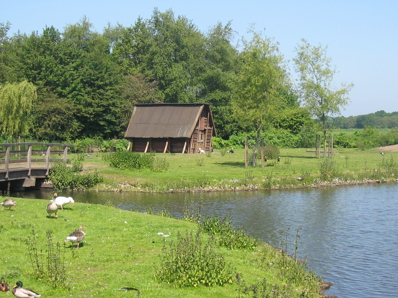 Hilversumse Meent, voormalige dierenweide