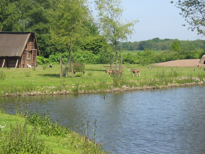 Hilversumse Meent, voormalige dierenweide