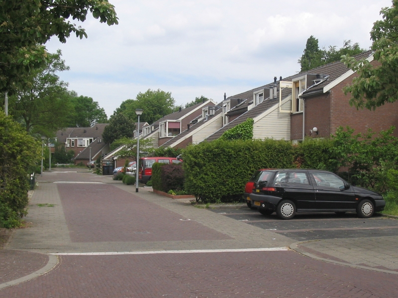 Hilversumse Meent, Mierenmeent