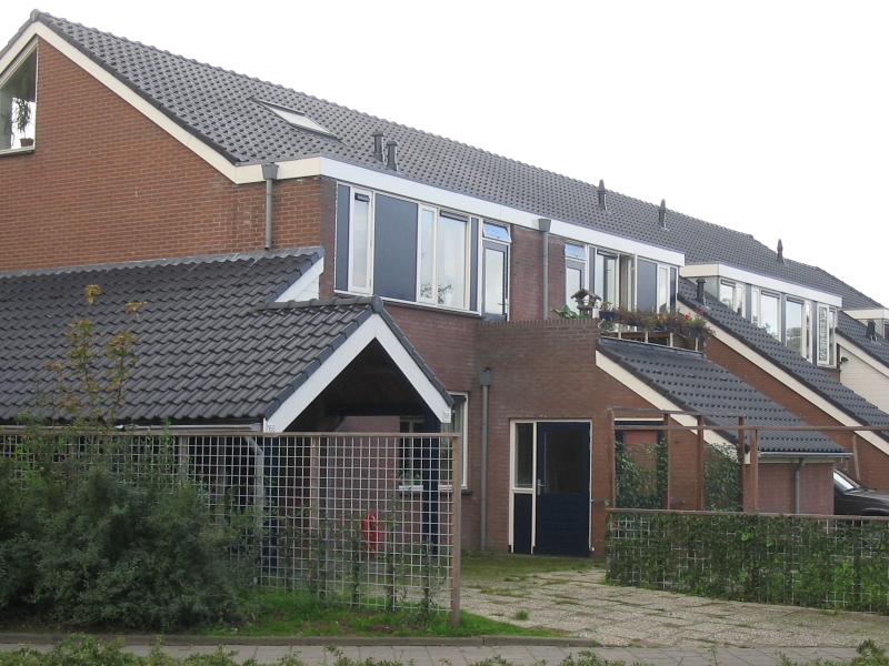 Hilversumse Meent, Mierenmeent