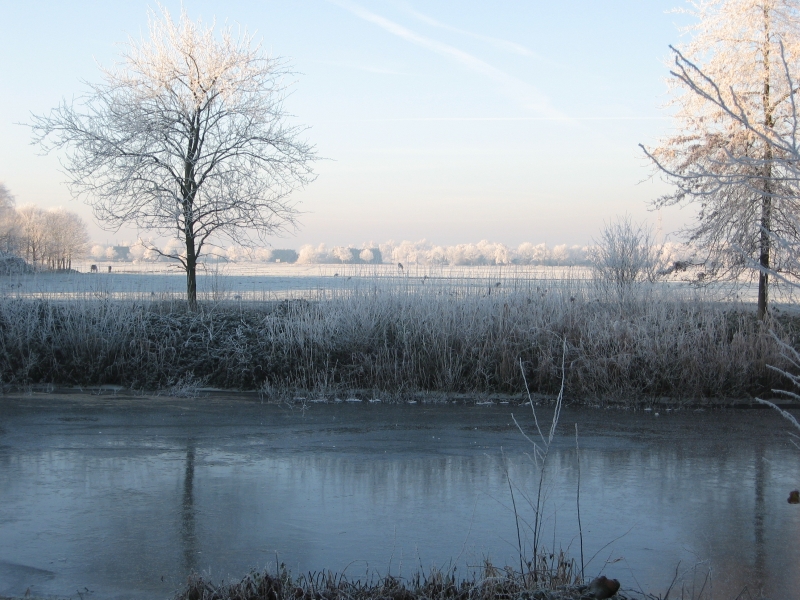 Hilversumse Meent, winter, december 2007