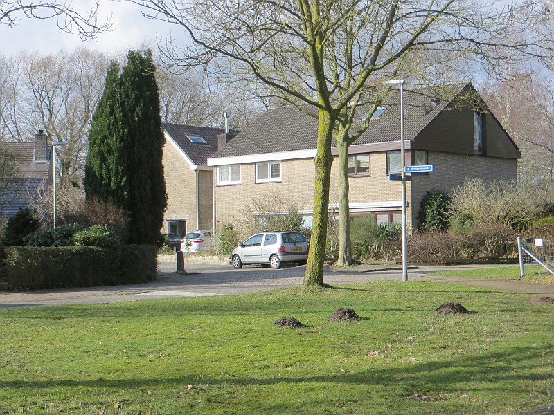 Bloemenmeent, hoek Kruidenmeent, Hilversum