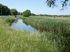 Hilversumse Meent, Luye Gat