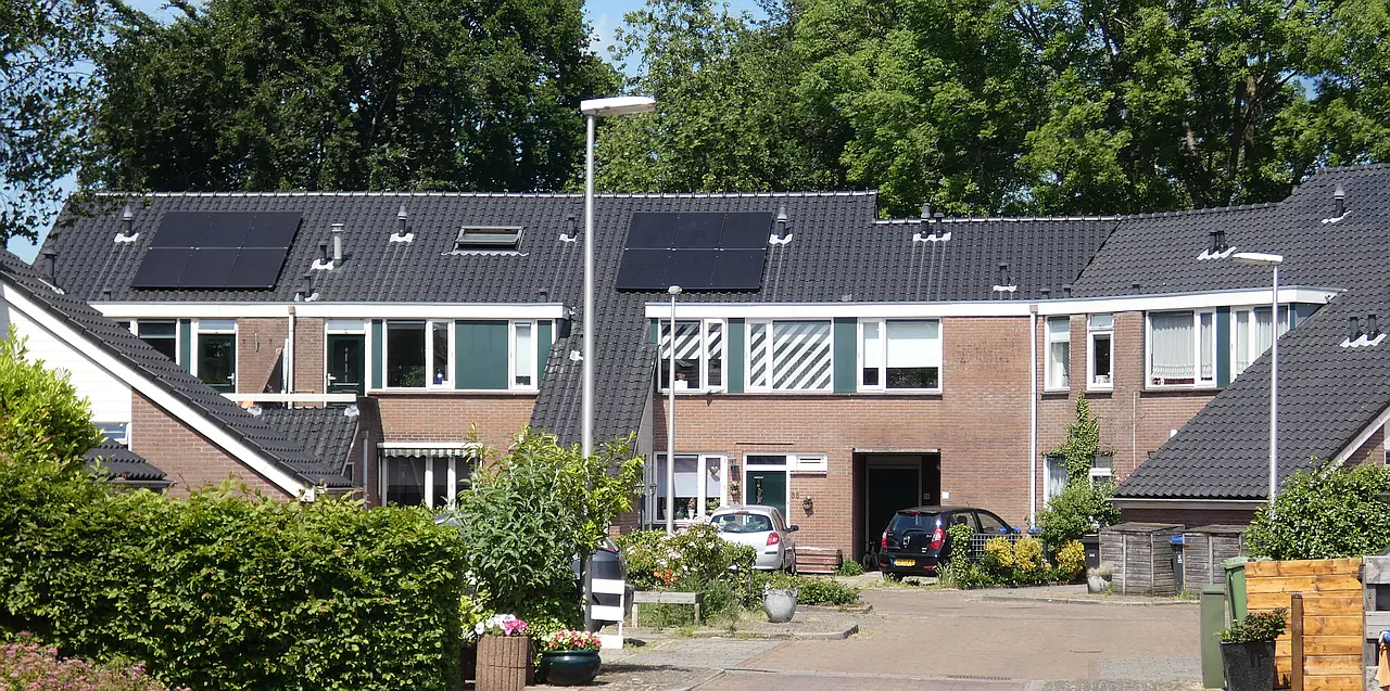 Hilversumse Meent, Mierenmeent