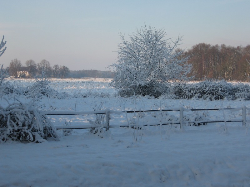 Hilversumse Meent, winter, december 2010