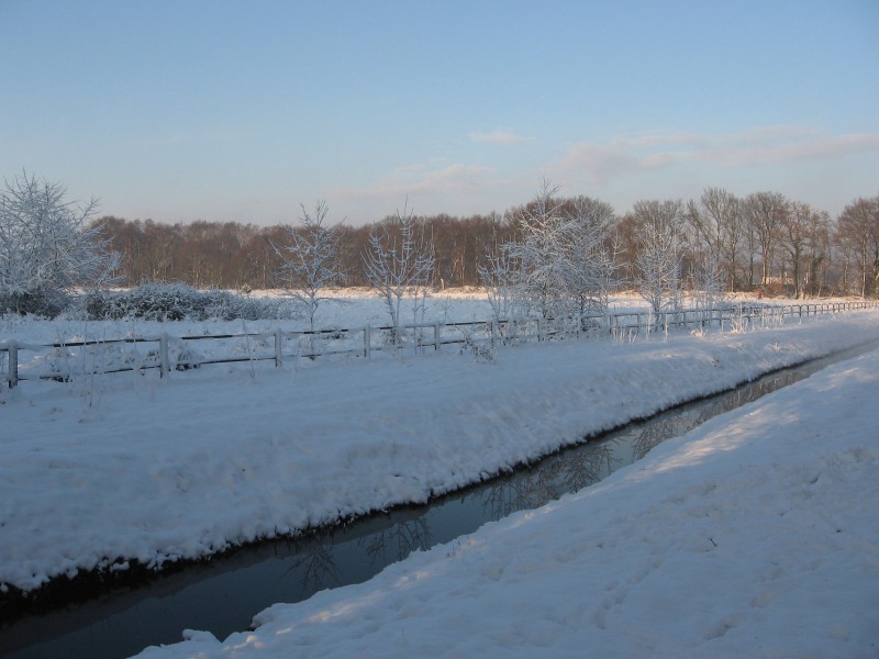 Hilversumse Meent, winter, december 2010