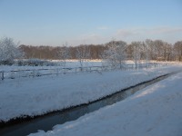 Hilversumse Meent, winter, december 2010