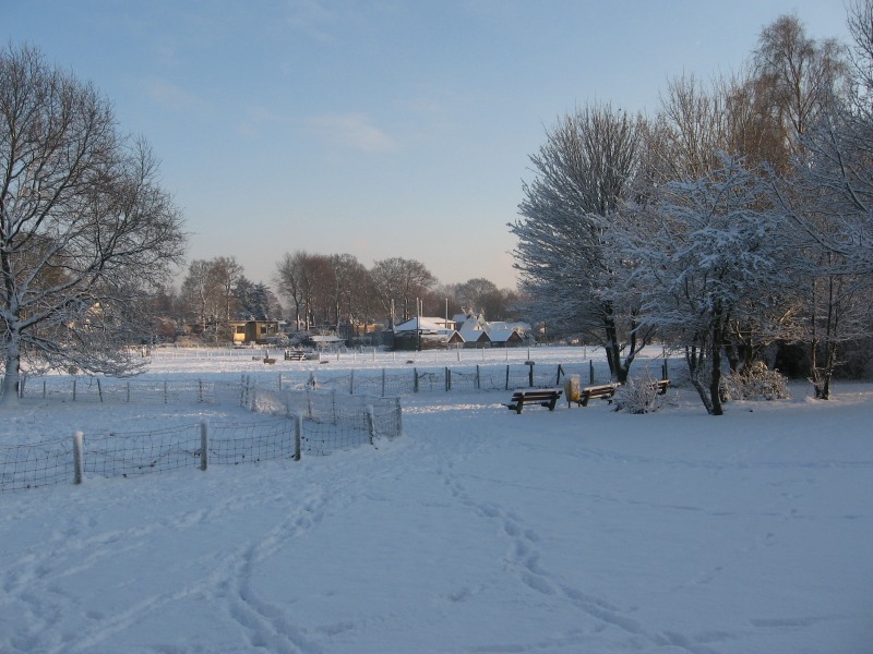 Hilversumse Meent, winter, december 2010