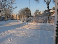Hilversumse Meent, winter, december 2010