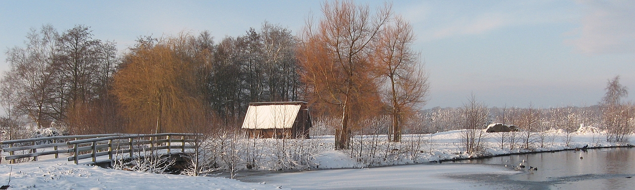 Hilversumse Meent, winter, december 2010