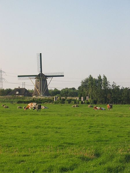 Molen de Onrust, Naardermeer, Muiden