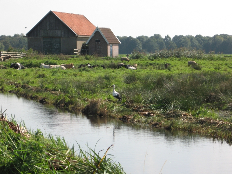 Hilversumse Meent, gemaal Ondermeent (links), schuur en Erfgooiersbrug