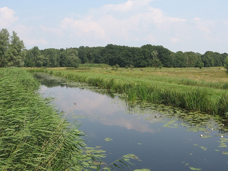 Hilversumse Meent - Naarden, Karnemelksloot (met rechts Laegjeskamp)