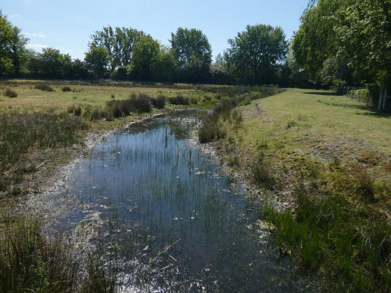 Gijzenveen 2020. Naast Bloemenmeent, Hilversum