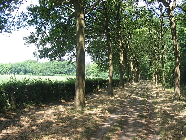 Schioonoord, 's-Graveland