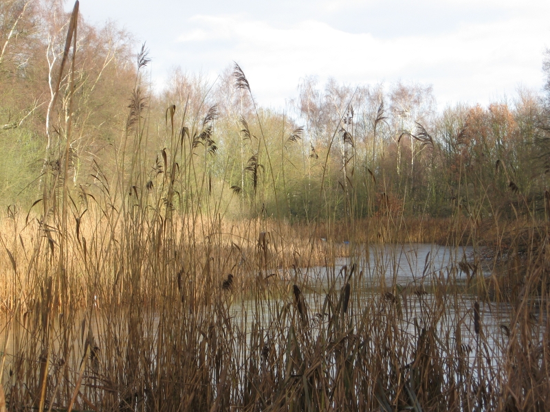 Hilversum, Laegieskamp