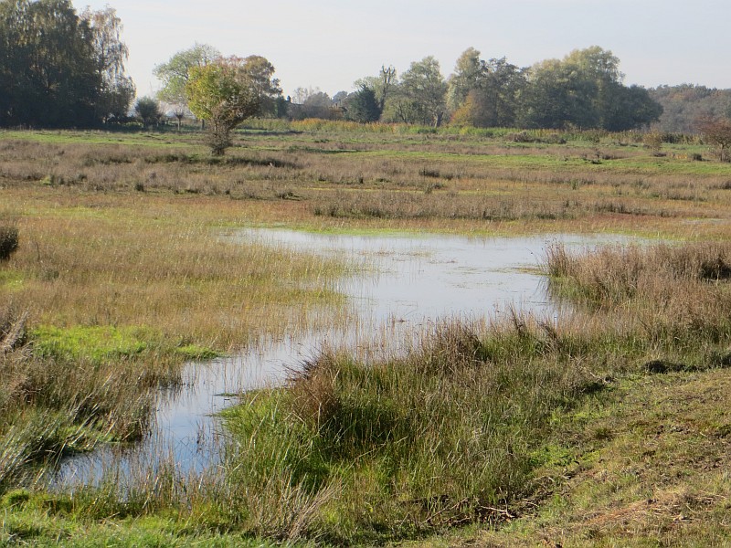 Hilversum, Laegieskamp