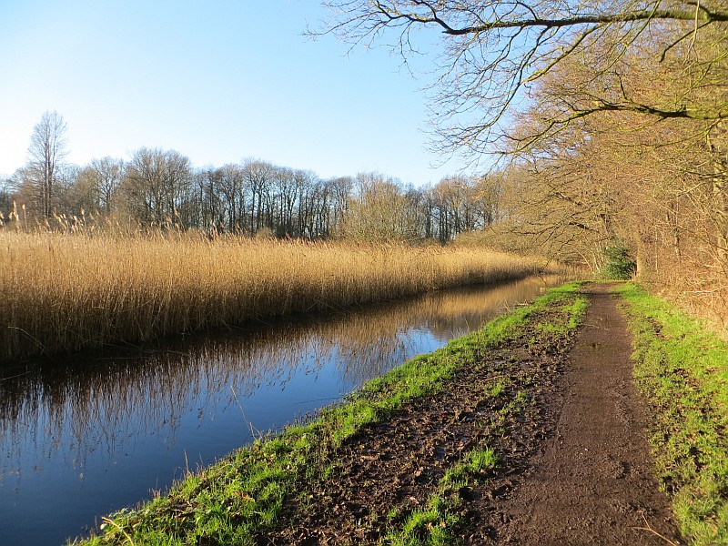 Hilversum, Laegieskamp