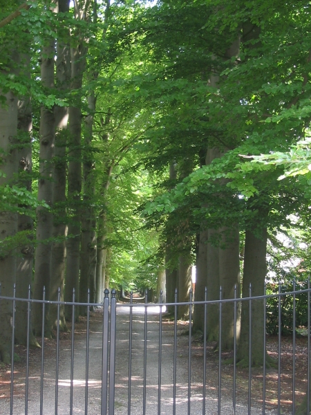 Schioonoord, 's-Graveland