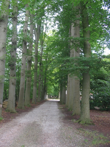 Schioonoord, 's-Graveland