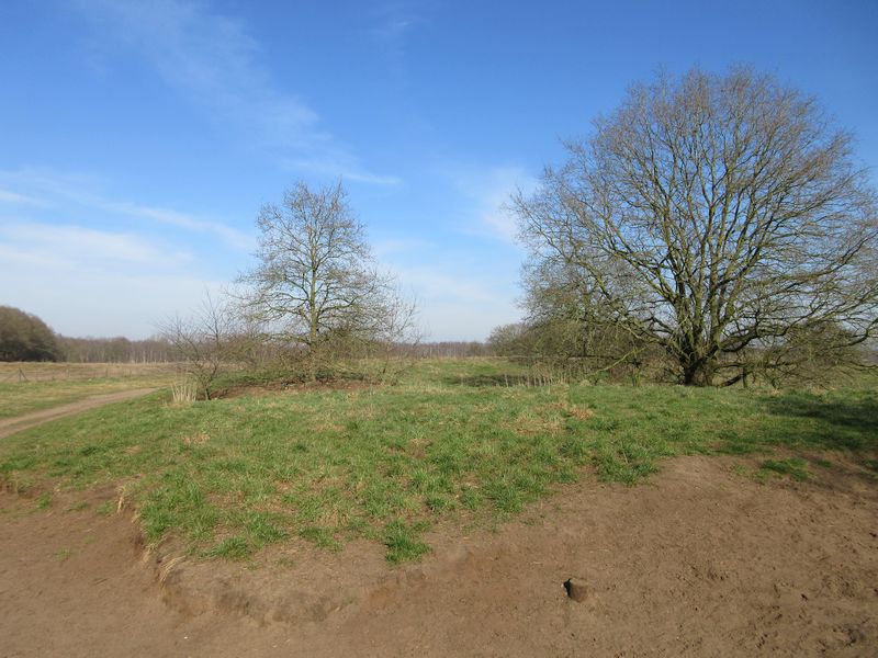 't Harde, Blaricum