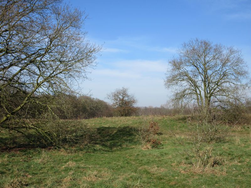 't Harde, Blaricum