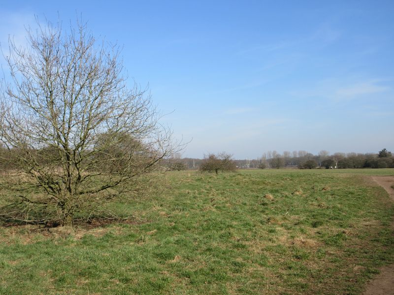 't Harde, Blaricum