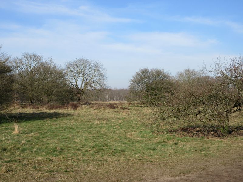 't Harde, Blaricum