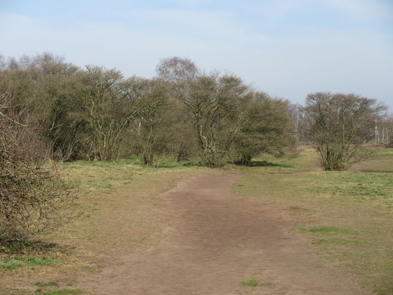 't Harde, Blaricum