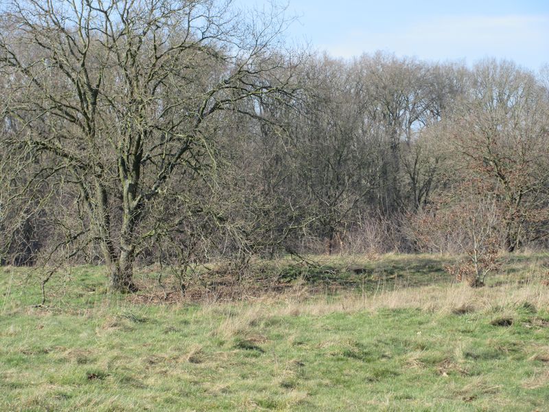 't Harde, Blaricum