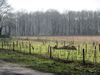 Warandepark, Blaricum Warandepark, Blaricum