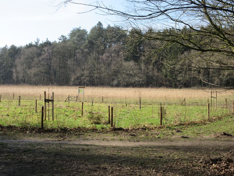Warandepark, Blaricum