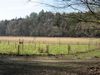 Warandepark, Blaricum Warandepark, Blaricum