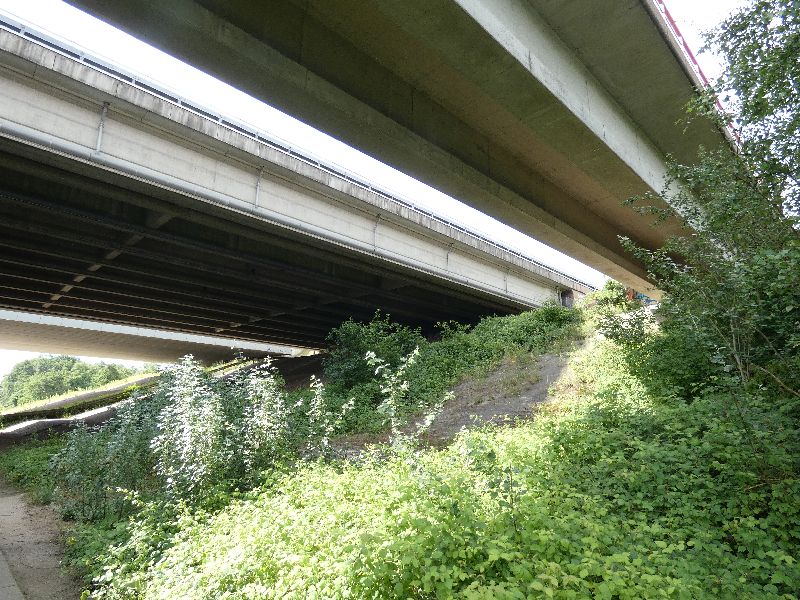 Hollandse brug